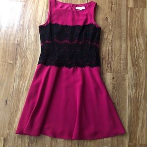 Ann Taylor Loft Dress